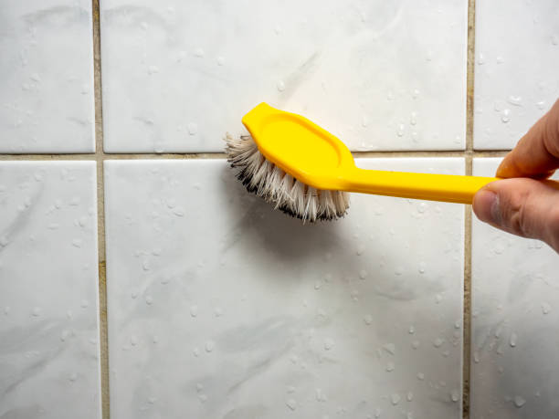 Best Mold Cleaning Services  in Frederic, WI