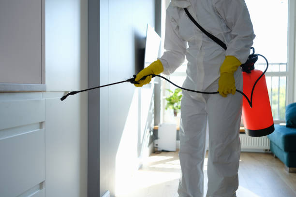 Best Affordable Mold Removal  in Frederic, WI