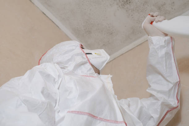 Best Mold Removal Near Me  in Frederic, WI