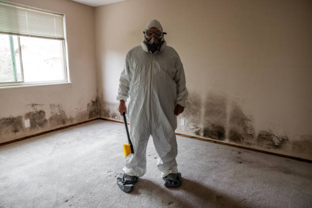 Best Residential Mold Removal  in Frederic, WI